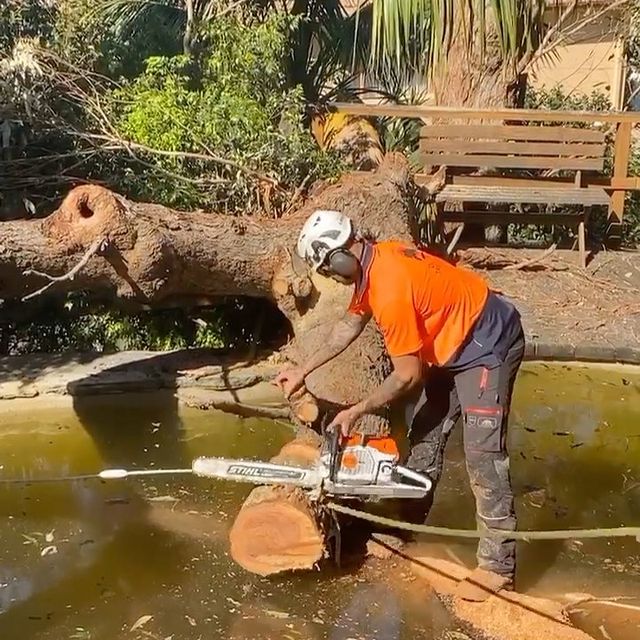 Inner West Stump Grinding