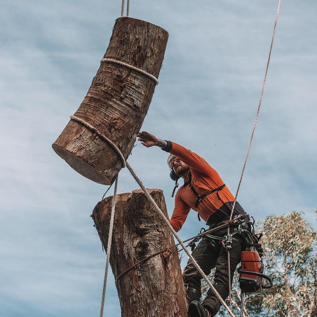 Tree Lopping Inner West