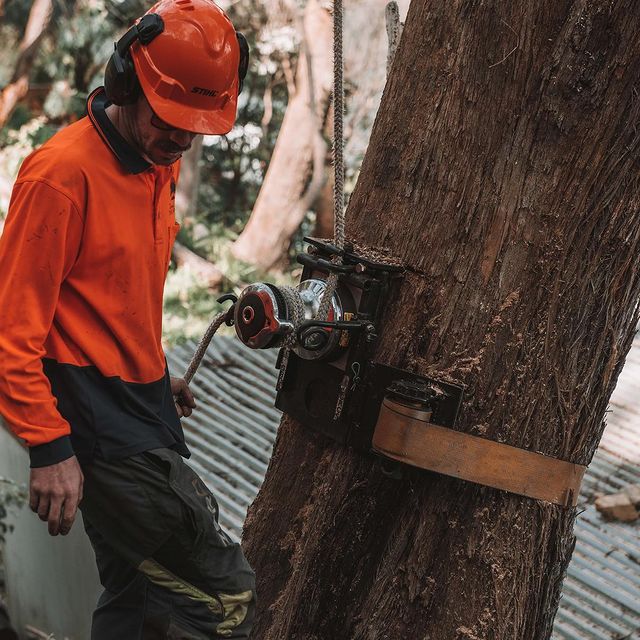 Inner West Tree Trimming