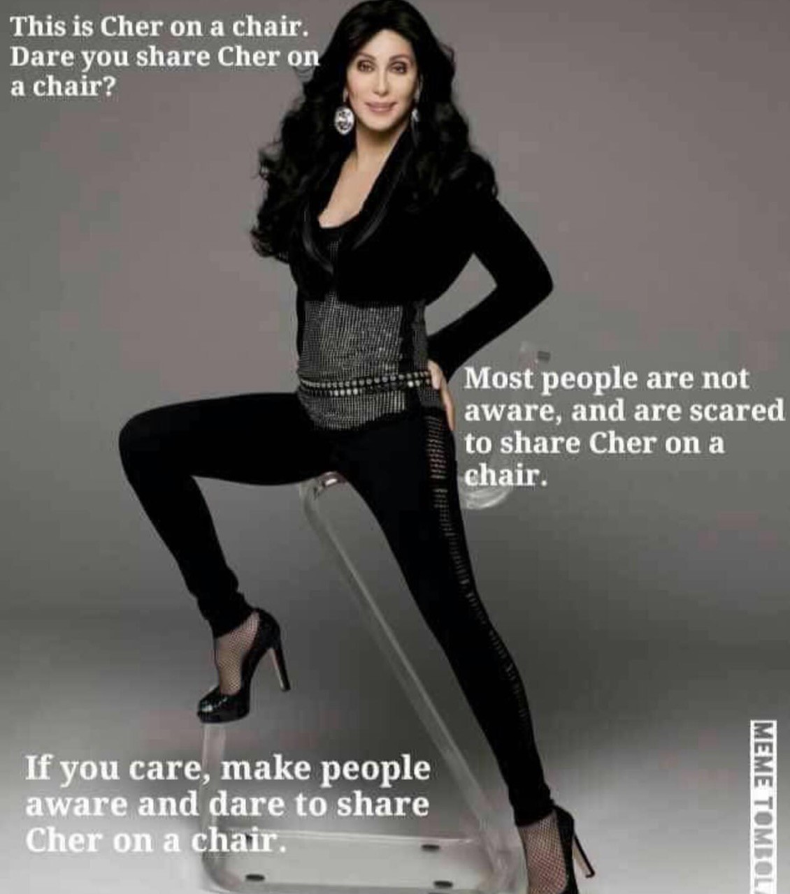 Cher Fakes