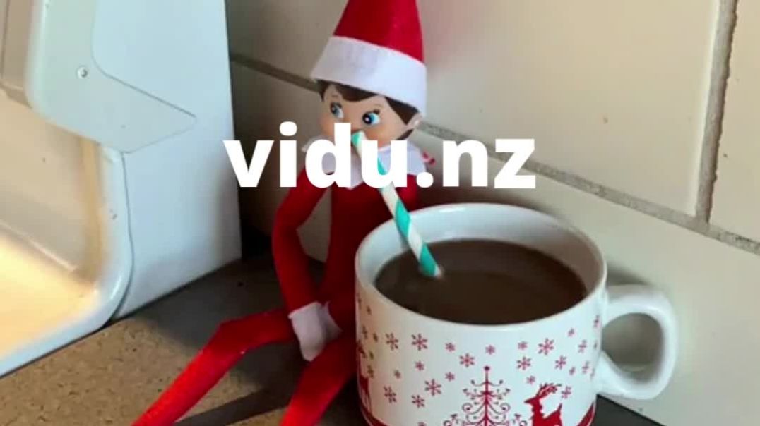 ⁣Morning Tea | NZ Short Video Sharing | vidu.nz