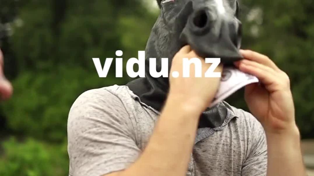 ⁣Earn Money On Vidu | NZ Short Video Sharing | vidu.nz