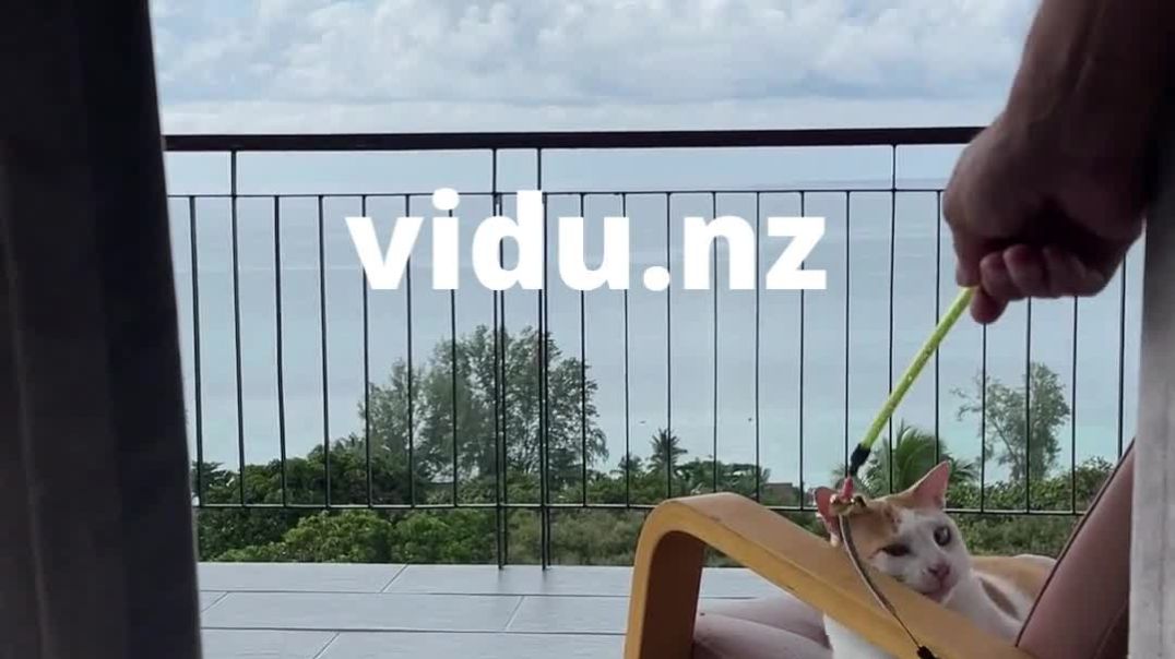 ⁣Leave Ma Alone | NZ Short Video Sharing | vidu.nz