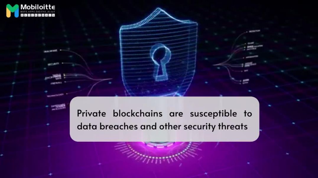 What is Private Blockchain