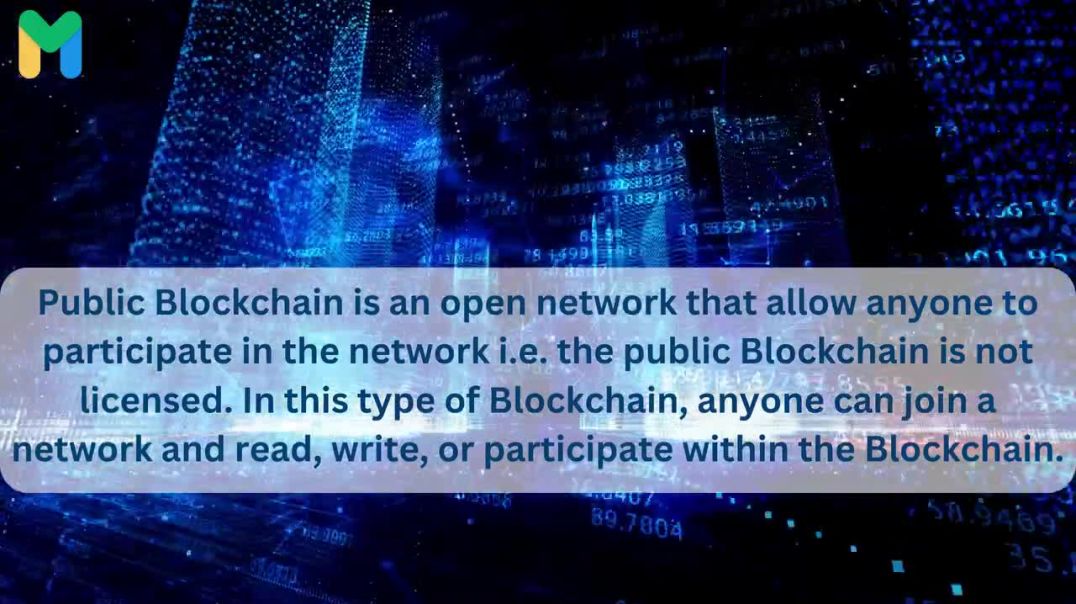 ⁣What is Public Blockchain?