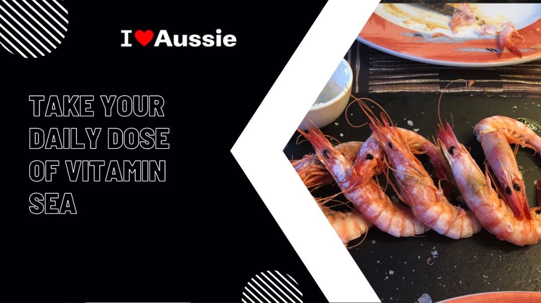 ⁣Sydney's best seafood restaurants that will have you hooked | I Luv Aussie
