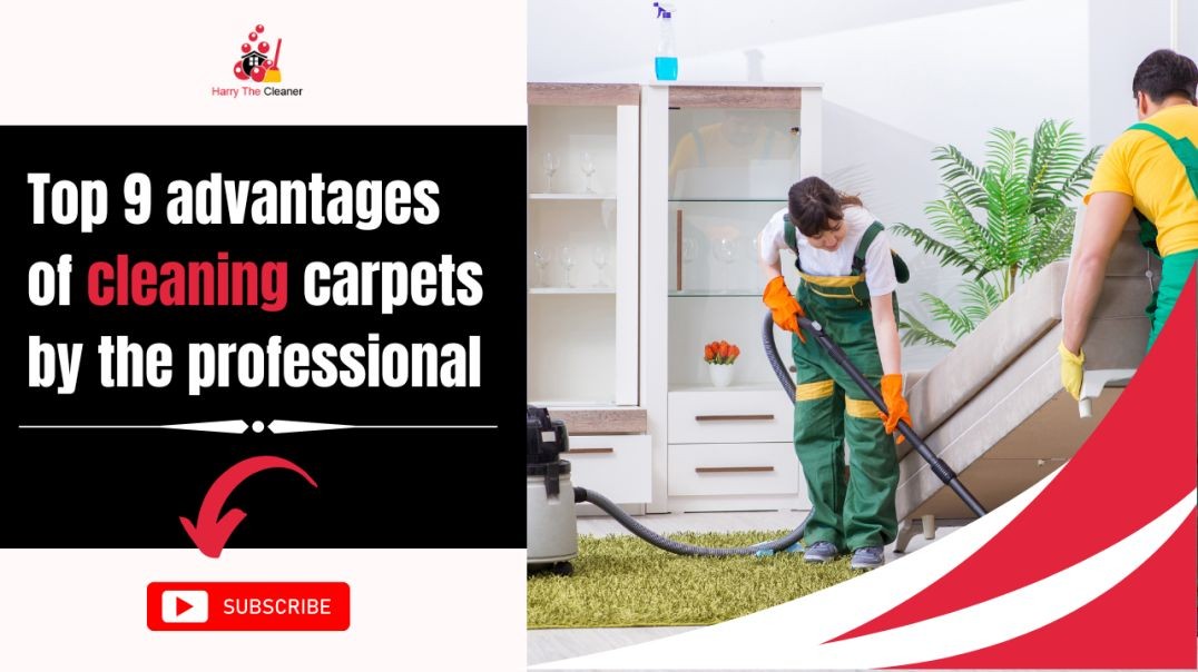 ⁣Top 9 advantages of cleaning carpets by the professional | Harry The Cleaner