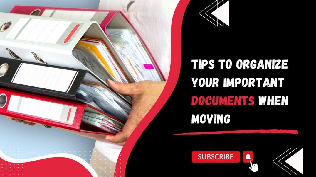 ⁣Tips to Organize Your Important Documents When Moving | Harry The Mover