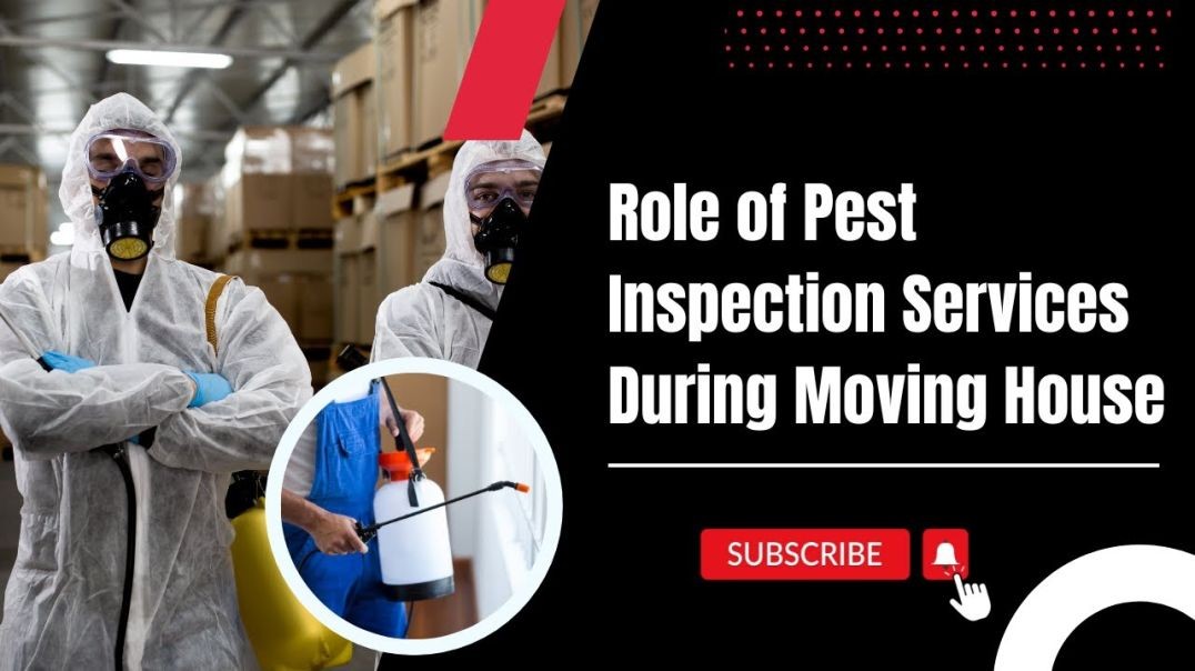 ⁣Role of Pest Inspection Services During Moving House | Harry The Mover