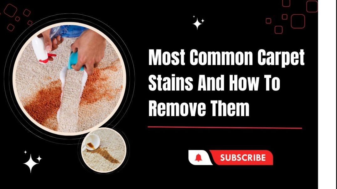 ⁣Most Common Carpet Stains And How To Remove Them | Harry The Cleaner
