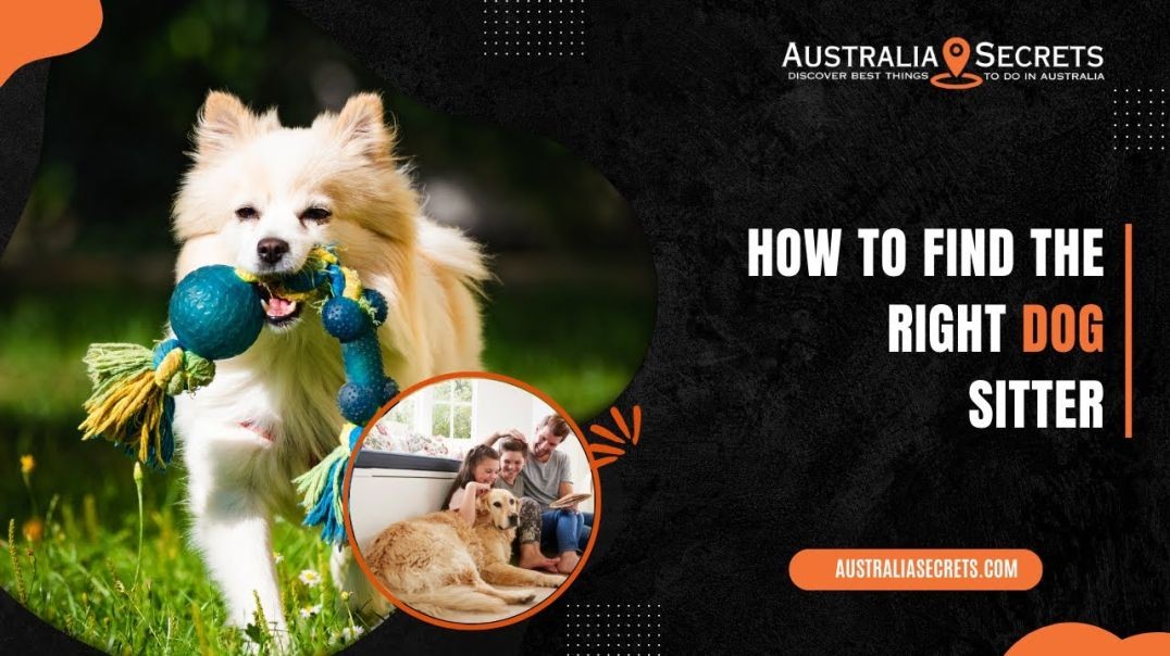 ⁣How to Find the Right Dog Sitter | Australia Secrets