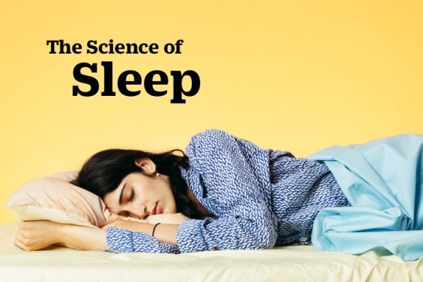 The Science of Sleep: How to Get Quality Rest and Wake Up Refreshed