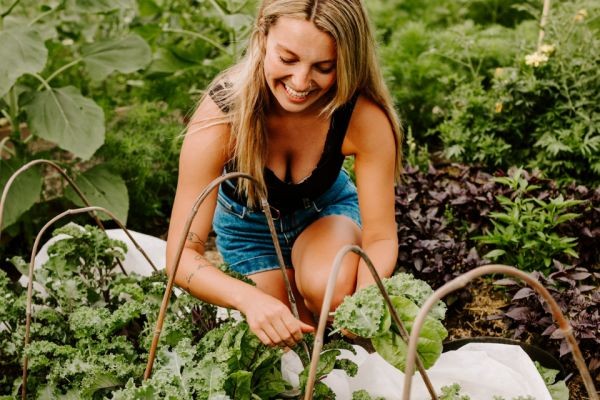 How to Start a Vegetable Garden for Beginners: Organic Gardening Tips for 2023