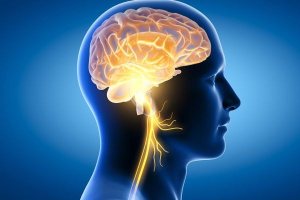 Nutrition for Optimal Brain Health: Foods that Boost Cognitive Function