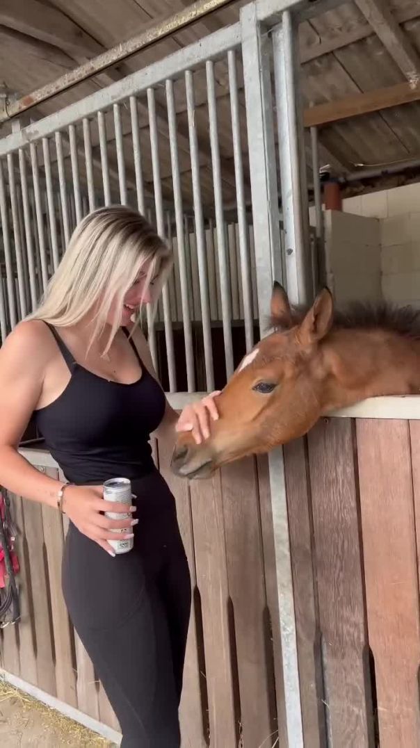 Bebi Simon 🐴🫶🏻 #equestrian #horse #horselover