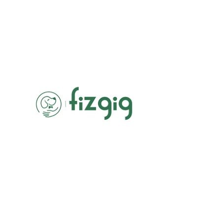 Fizgig App