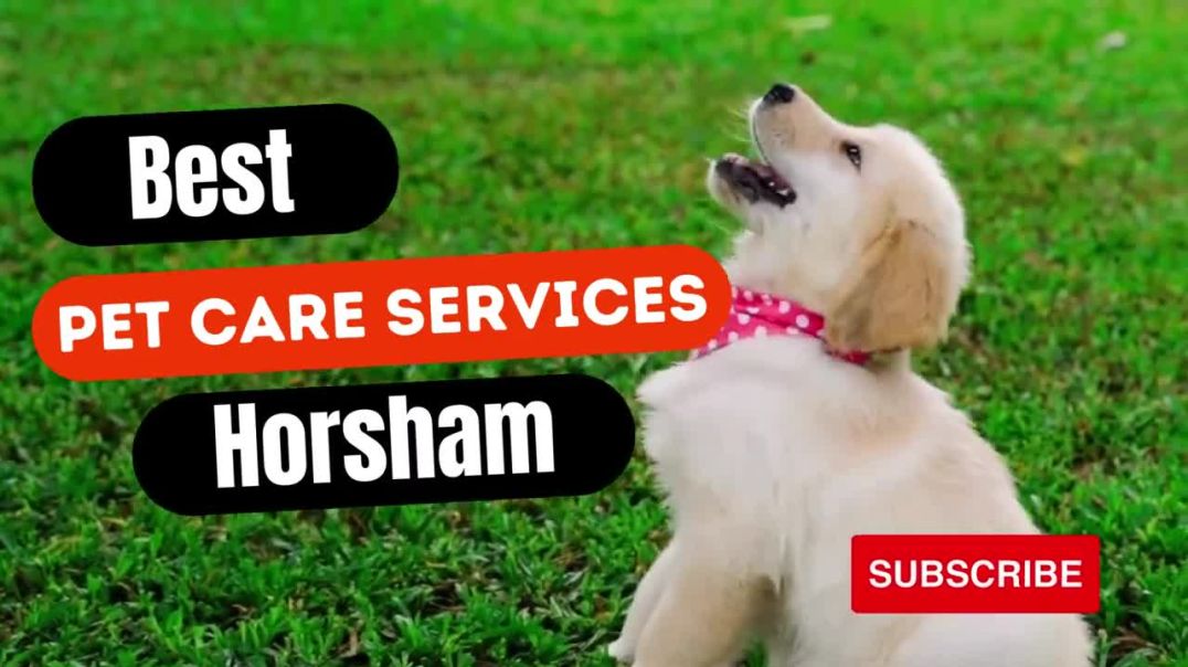 ⁣Best Pet Care Services Horsham | PCA Pet Services