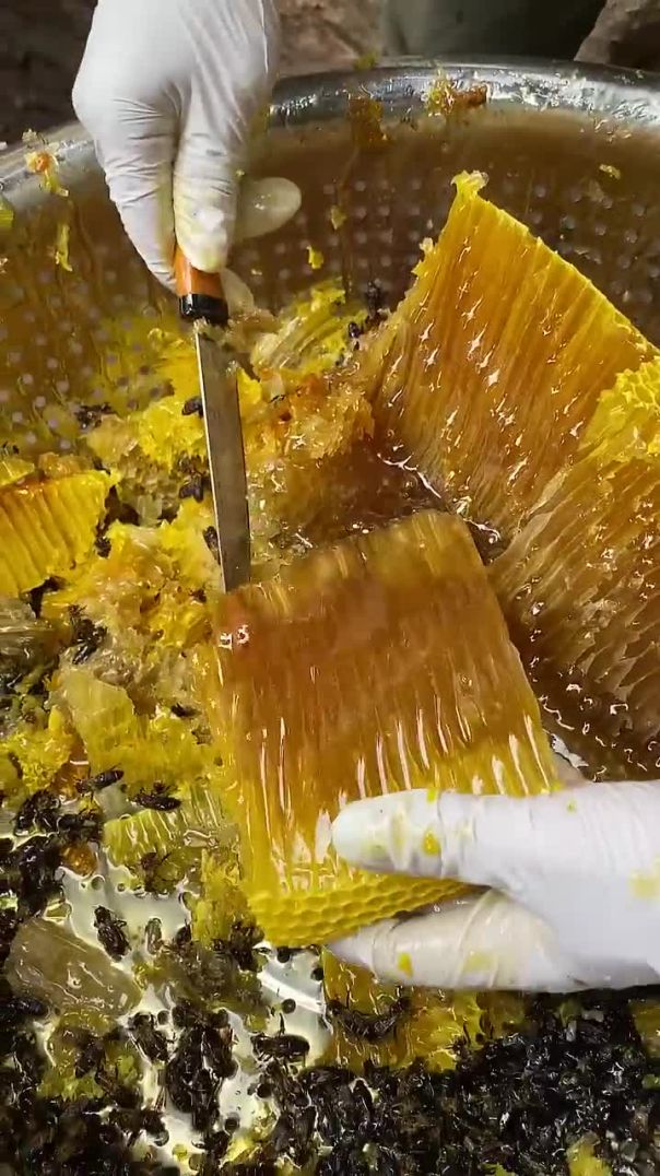 Good honey from Green Mountain Honey in Baitong Mountain #beesonthefarm #beekeeping