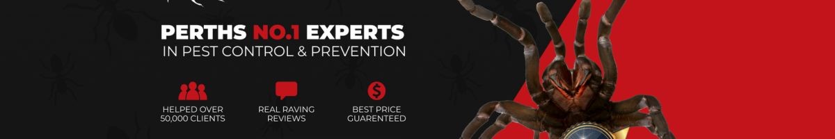 Chambers Pest Solutions