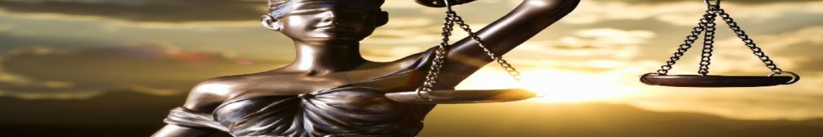Matyushevsky Law Group, LLC