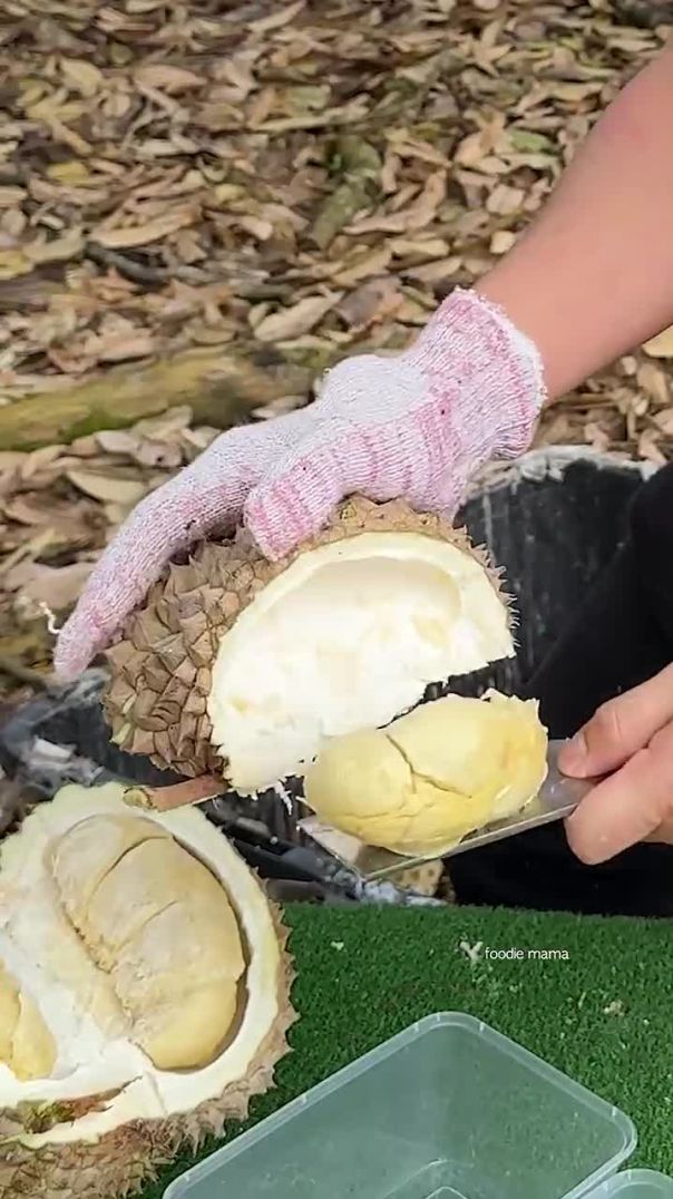 Malaysian Fresh Durian Unboxing Master - Fruit Cutting Skills