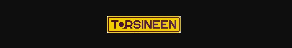 Torsineen 