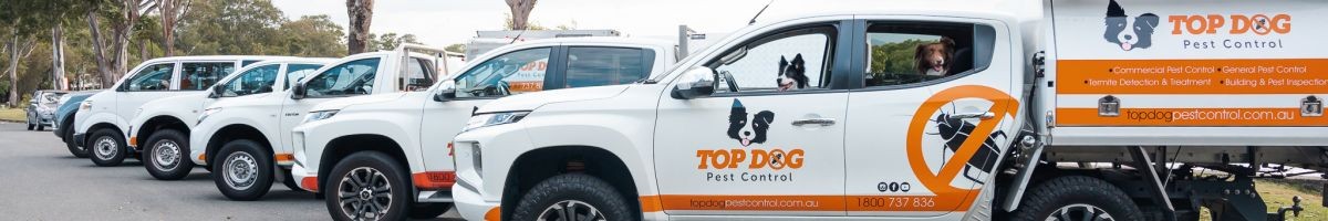 Top Dog Pest Control