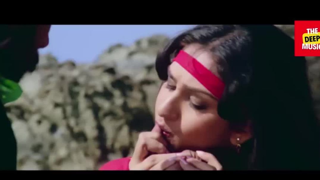 ⁣Tu Mera Jaanu Hai |  Film Hero | Jackie, Meenakshi | Singer Anuradha Paudwal, Manhar |