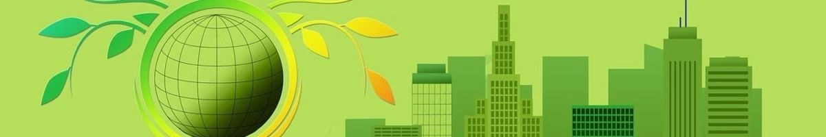 The software company America LLC