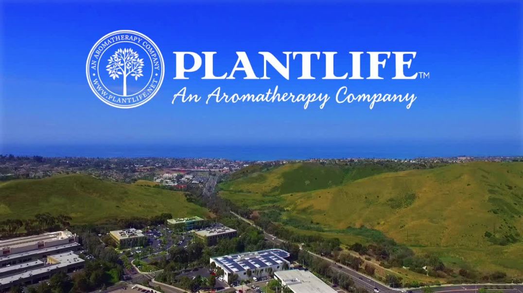 Welcome To Plantlife