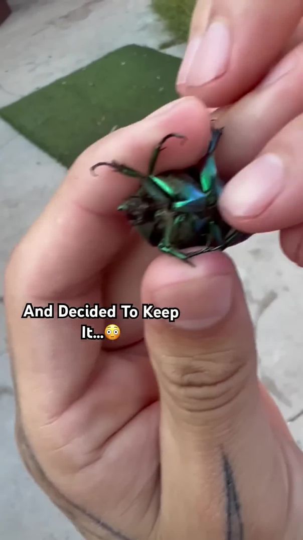 We Found A FBI Bug and Kept it As A Pet😳😱