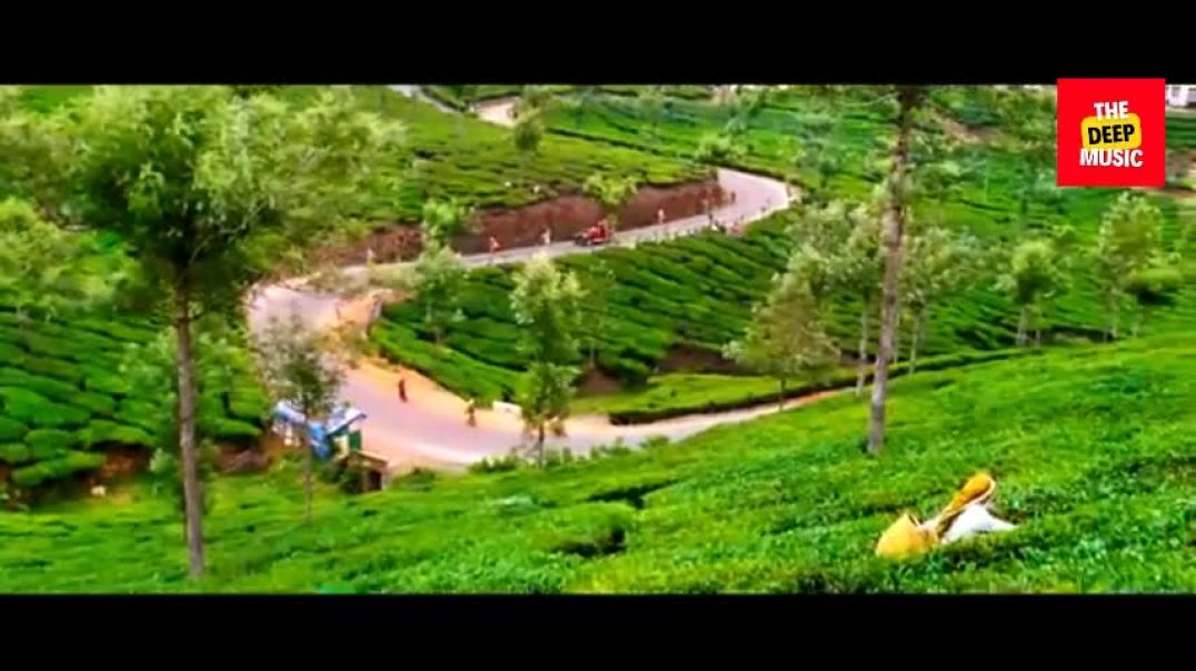 Song: Kashmir Main Tu Kanyakumari | Movie: Chennai Express | Shahrukh Khan, Deepika Padukone |