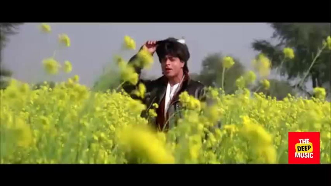 ⁣Song: Tujhe Dekha Toh | Movie; Dilwale Dulhania Le Jayenge | Shah Rukh Khan, Kajol | Singers: Kumar 