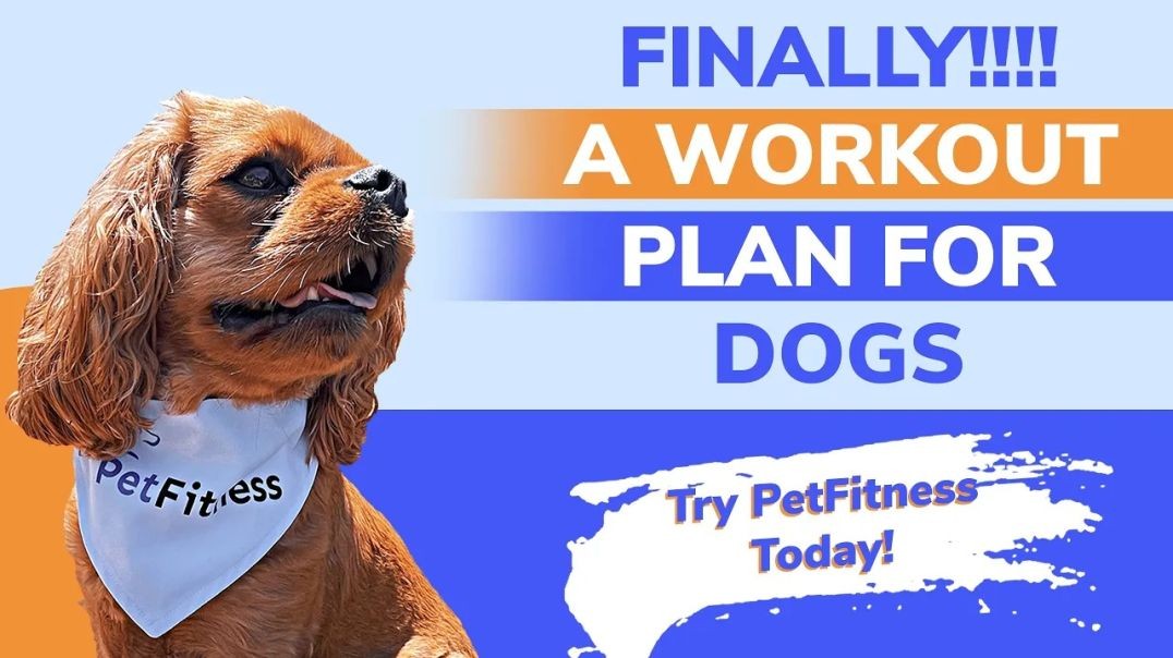 ⁣Welcome to PetFitness - Best Workout Program for Dogs