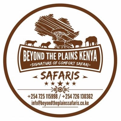 professional House Karen C Nairobi 