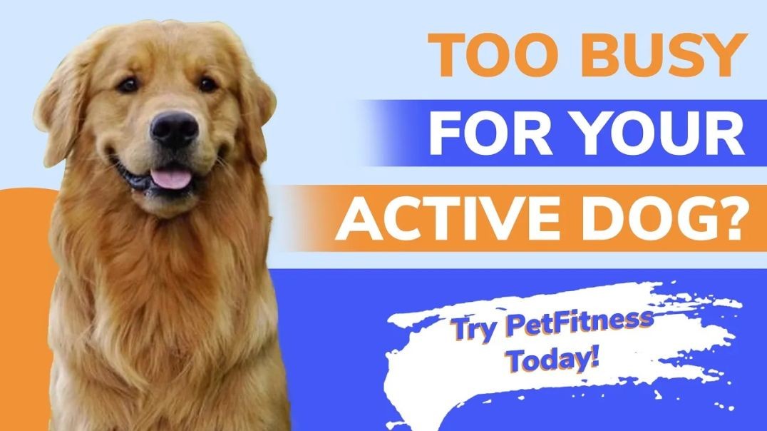 ⁣PetFitness Quickies - Sporting Dogs Workout