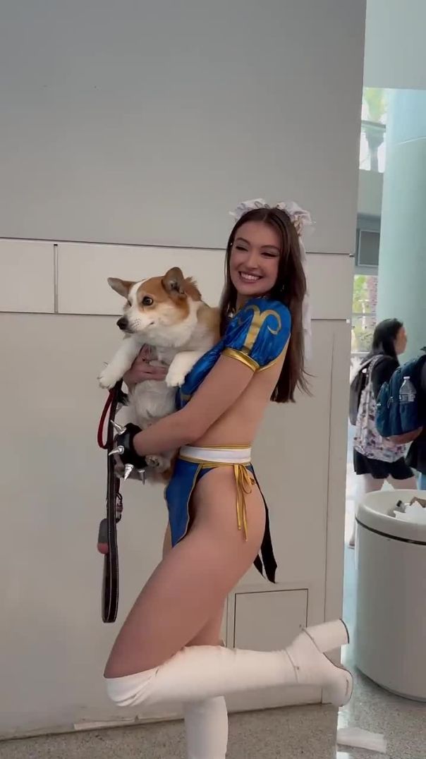 Scooter is so cute #dogs #dog #cute #youtubeshorts #rachelpizzolato #doggie #comiccon #cosplay #fyp