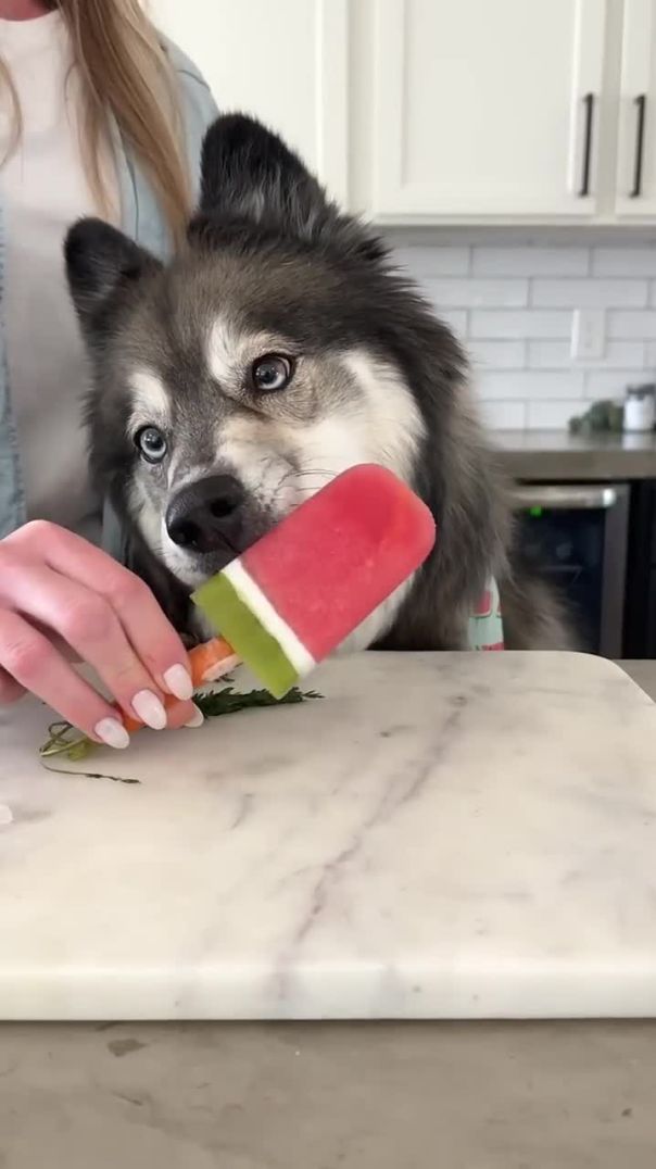 The Perfect Watermelon Dog Treat!