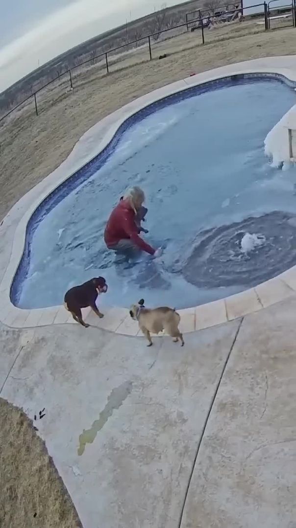Woman Jumps in Frozen Pool to Save Her Puppy