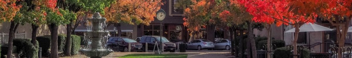 Zora Nova Design Agency 