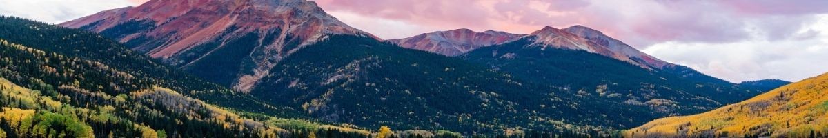 Organic Botanicals US