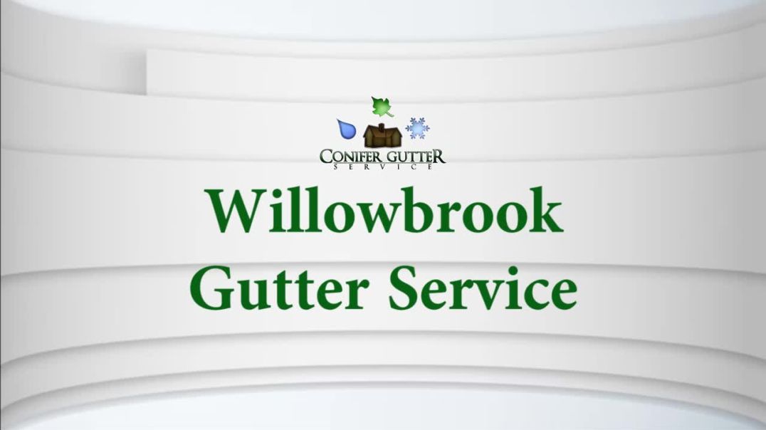 ⁣Willowbrook Gutter Service