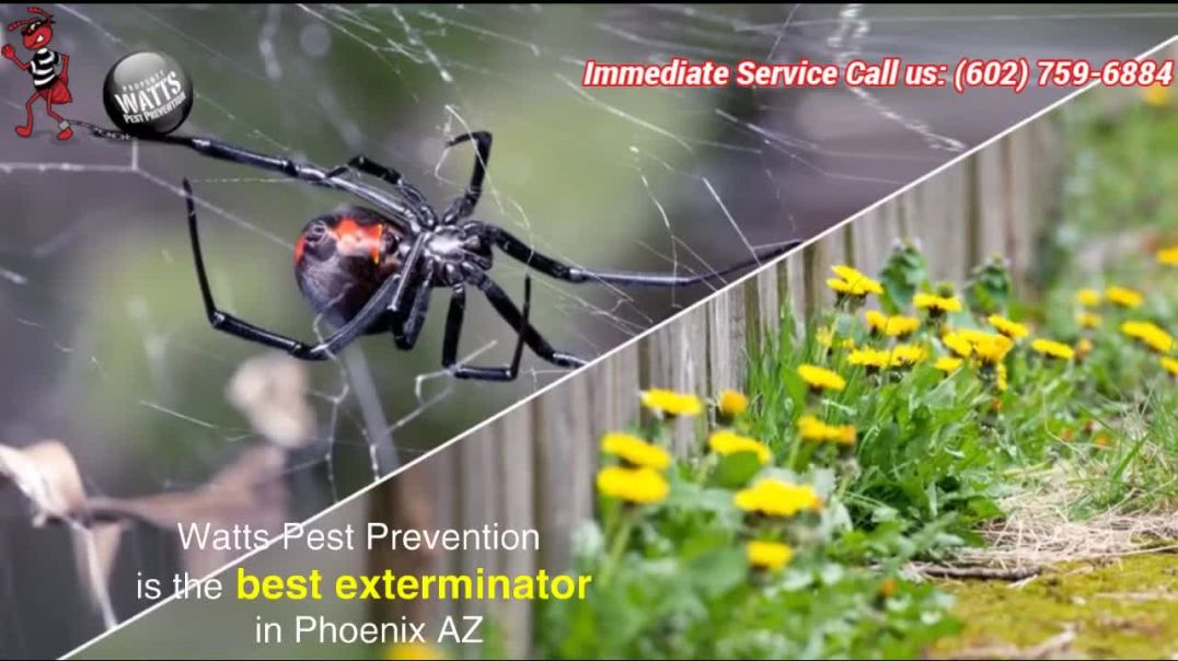 ⁣Defend Your Home: Watts Pest Prevention Delivers High-Quality Pest Control Services in Arizona