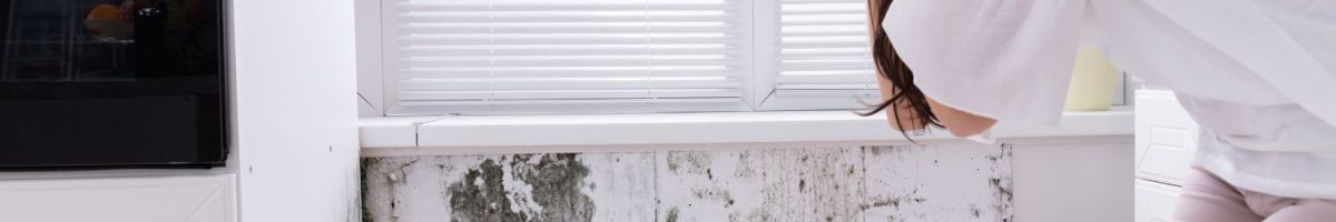 Mold Inspections Los Angeles