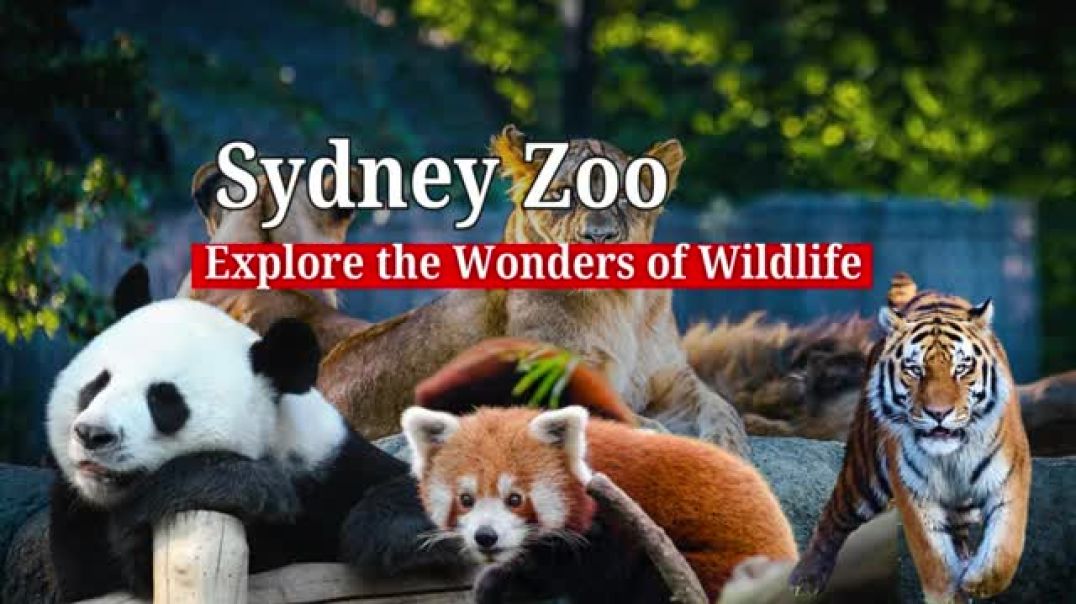 ⁣Sydney Zoo | Discover the Wonders of Wildlife | I Love Aussie