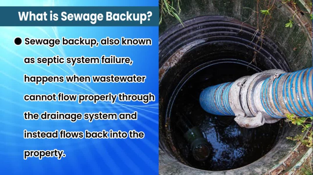 Sewer Backup Denver