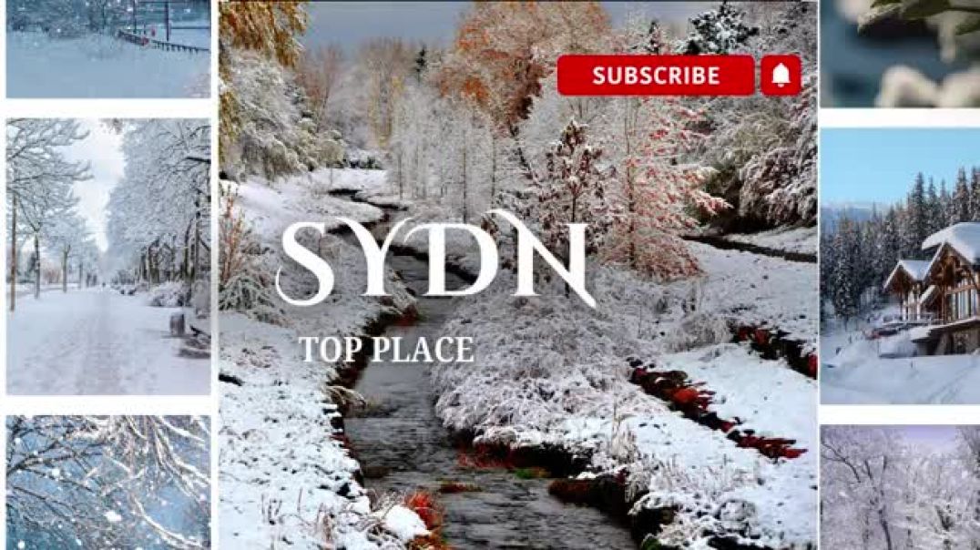 ⁣Best Places to See Snow Near Sydney | 2024 | I Luv Aussie