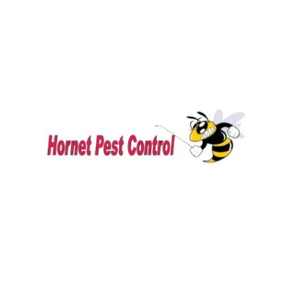 Hornet pest control 