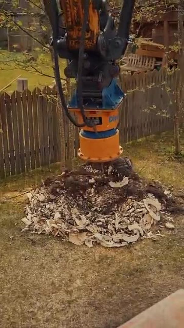 Title: Top Tips for Effortlessly Removing Stubborn Stumps in Your Yard