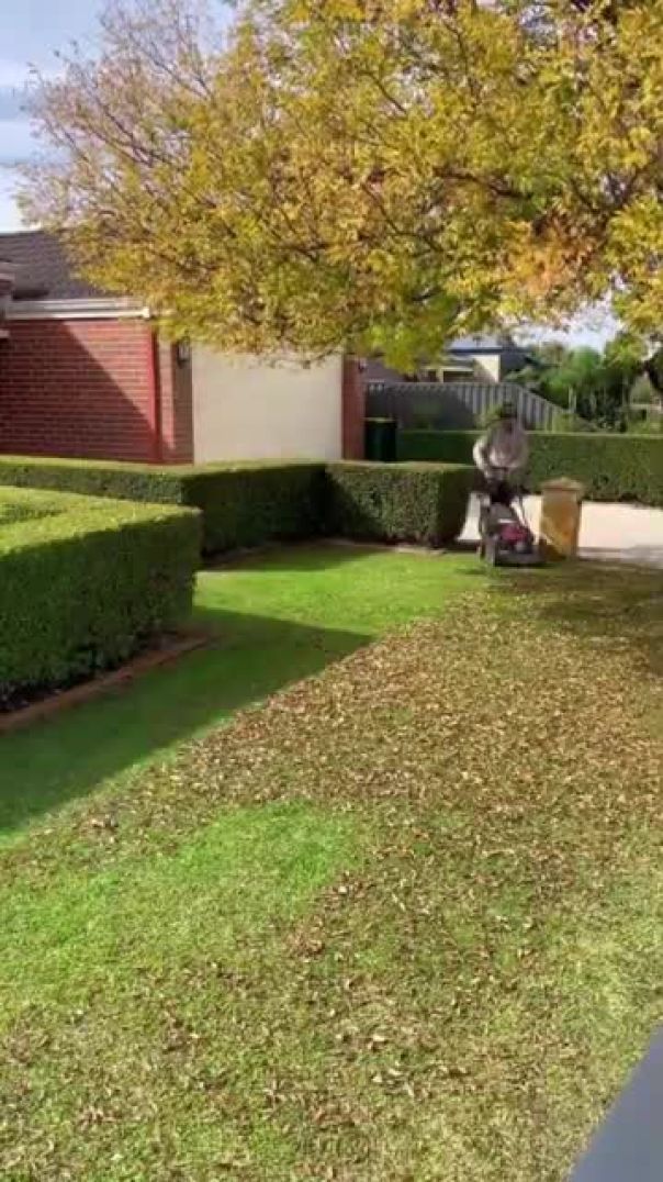 Quick Yard Cleanup 66 #YardCleanUp #LawnCare #LawnMaintenance #cleaning #LawnMowing #GardenCleanup